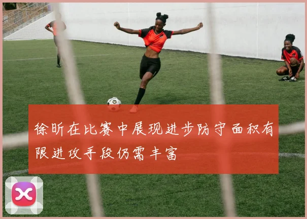 徐昕在比赛中展现进步防守面积有限进攻手段仍需丰富