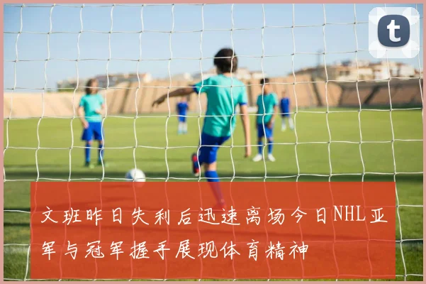 文班昨日失利后迅速离场今日NHL亚军与冠军握手展现体育精神