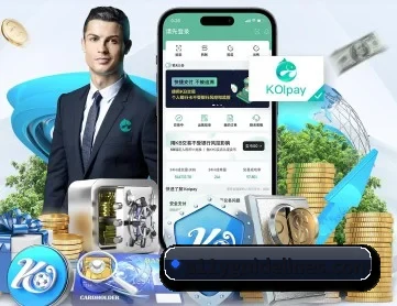 aoa网页版入口 APP